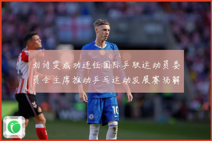 刘诗雯成功连任国际乒联运动员委员会主席推动乒乓运动发展赛场解读