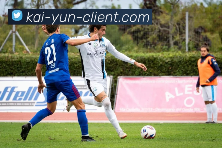 开云平台展示图